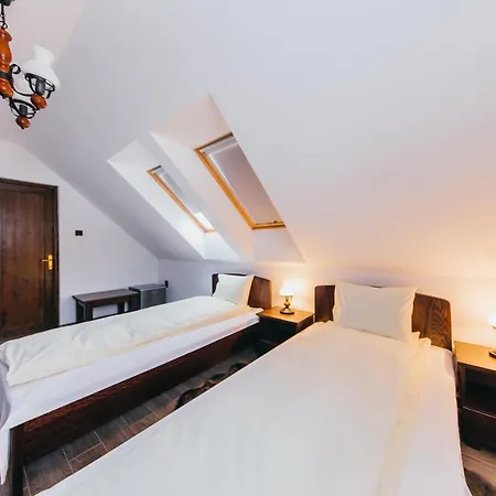 Cinege Vendeghaz/casa De Oaspeti Pitigoi Ivó