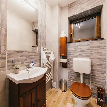 Cinege Vendeghaz/casa De Oaspeti Pitigoi Ivó
