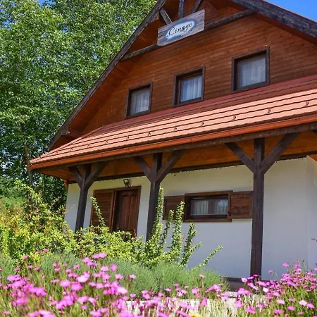 Villa Cinege Vendeghaz/casa De Oaspeti Pitigoi *